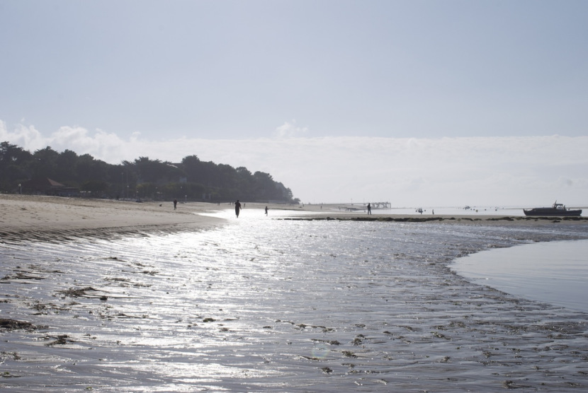 bordeaux_arcachon_2011_05