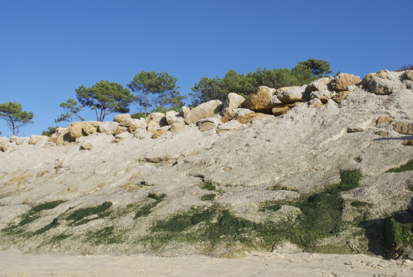 bordeaux_arcachon_2011_10