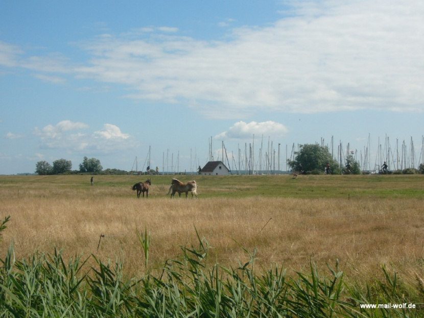 P1020453.JPG