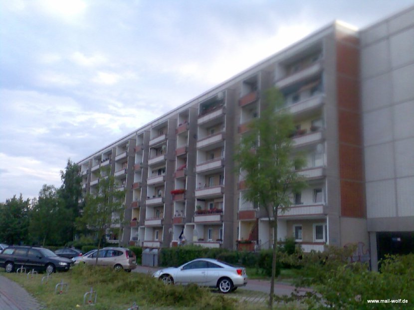 Olvenstedt pur
