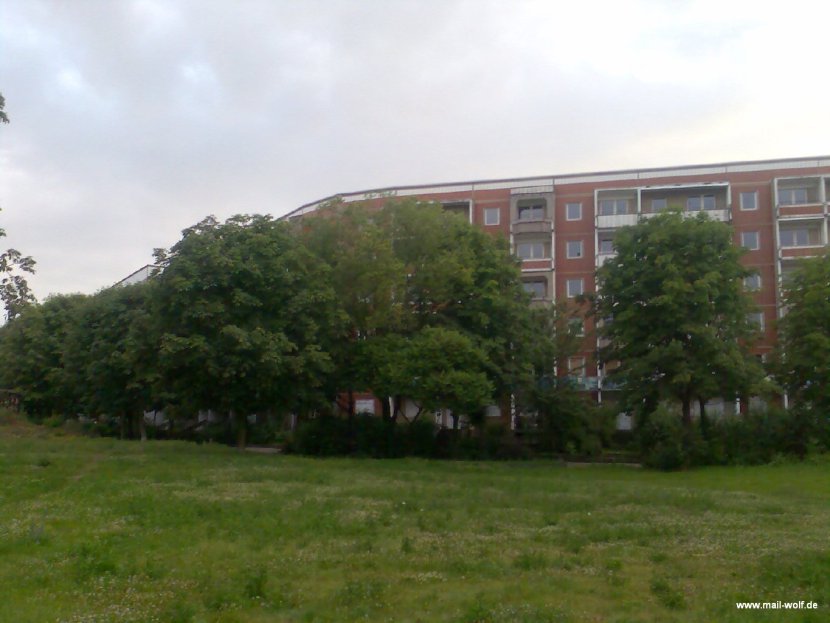 Bild156.jpg