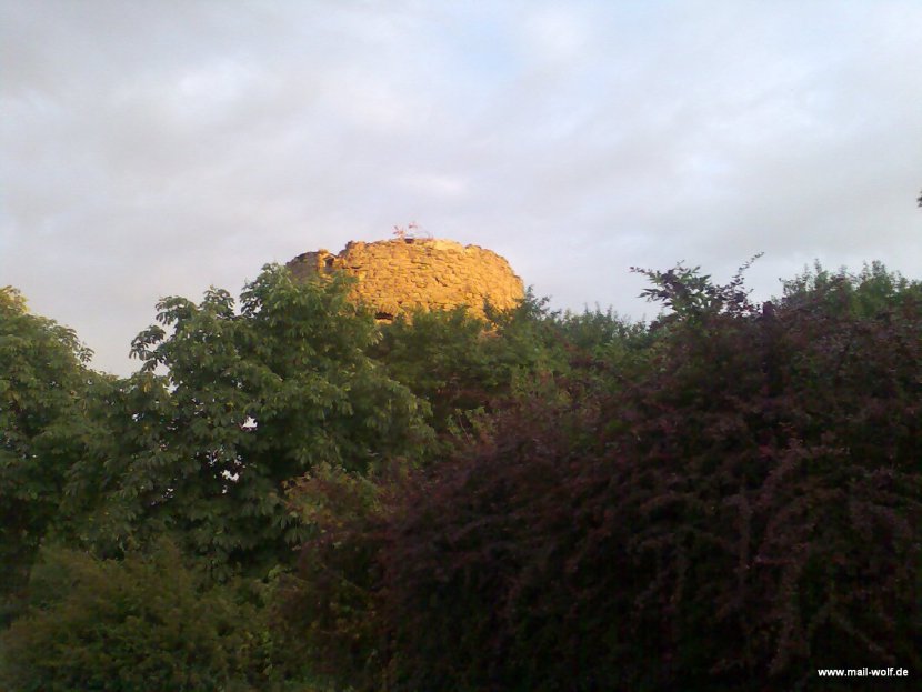 Bild159.jpg